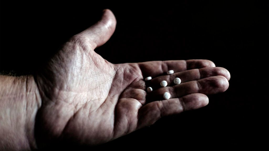 Can Rapamycin Match Dietary Restrictions in Extending Lifespan?