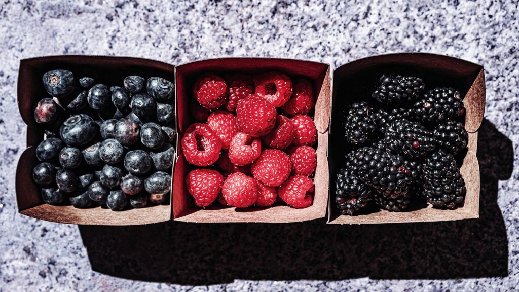 Blueberries, strawberries, and blackberries in three carton containers side by side Blueberries, strawberries, and blackberries in three carton containers side by side
