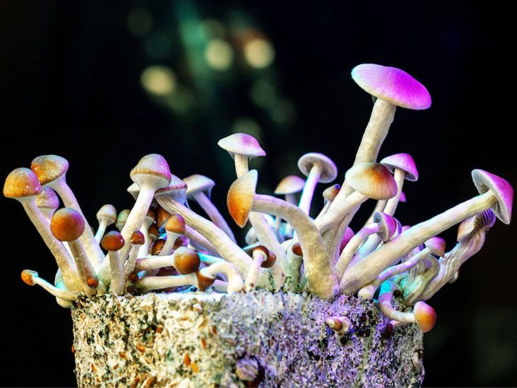 Could psilocybin help treat IBS? A new study investigates