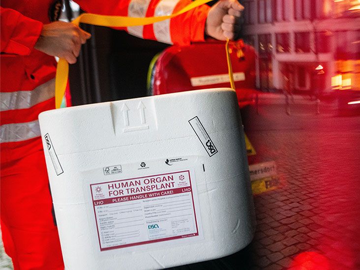 Can a person donate part of their liver to someone with cirrhosis?