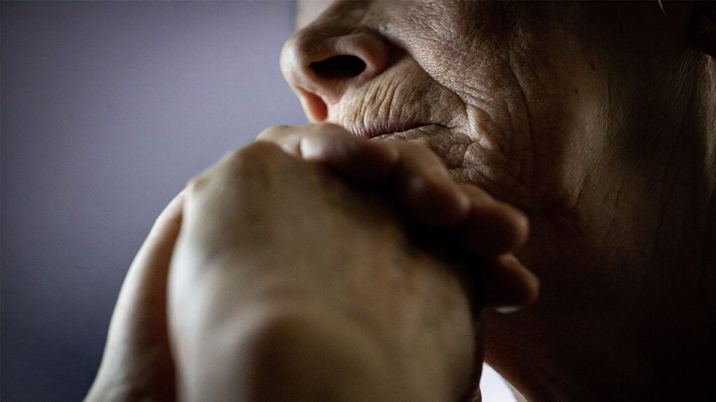 Link Between Vascular Risk Factors and Dementia: Insights from Recent Research