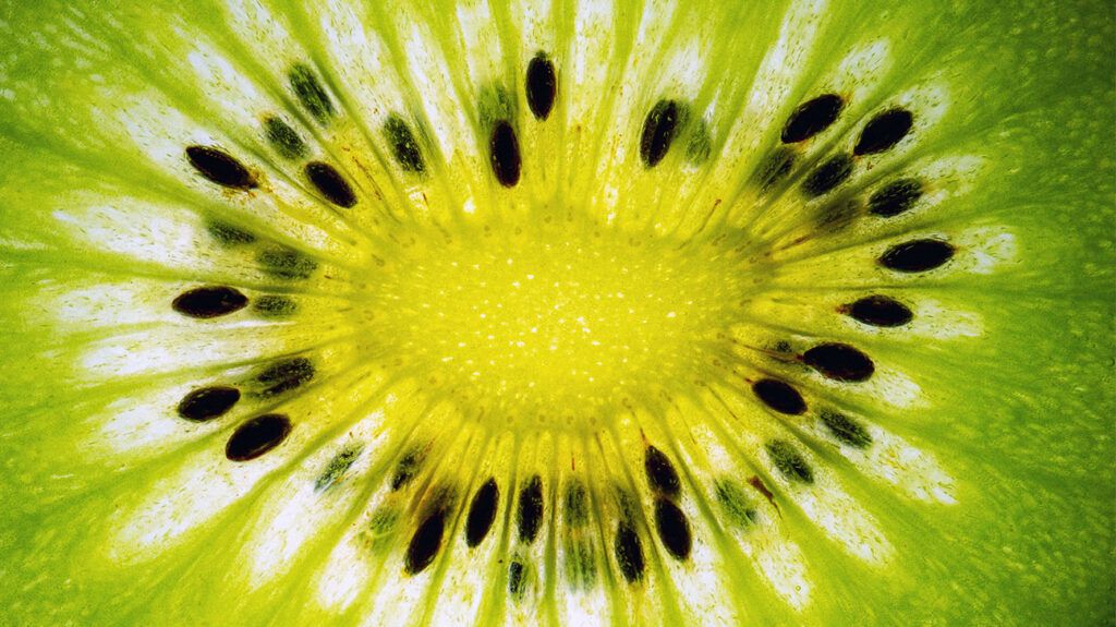 Closeup of kiwifruit.