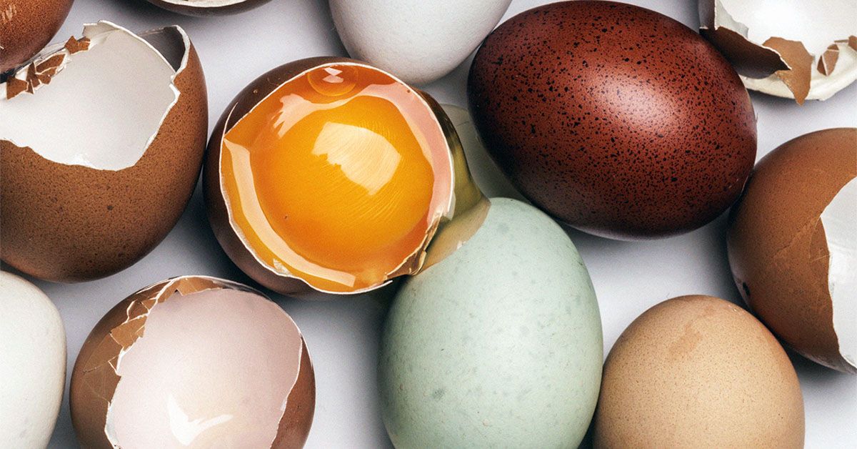 Eating eggs linked to less buildup of toxic proteins