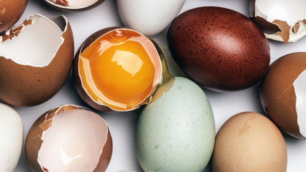 Eating Eggs Weekly Linked to Reduced Alzheimer’s Risk, New Study Finds