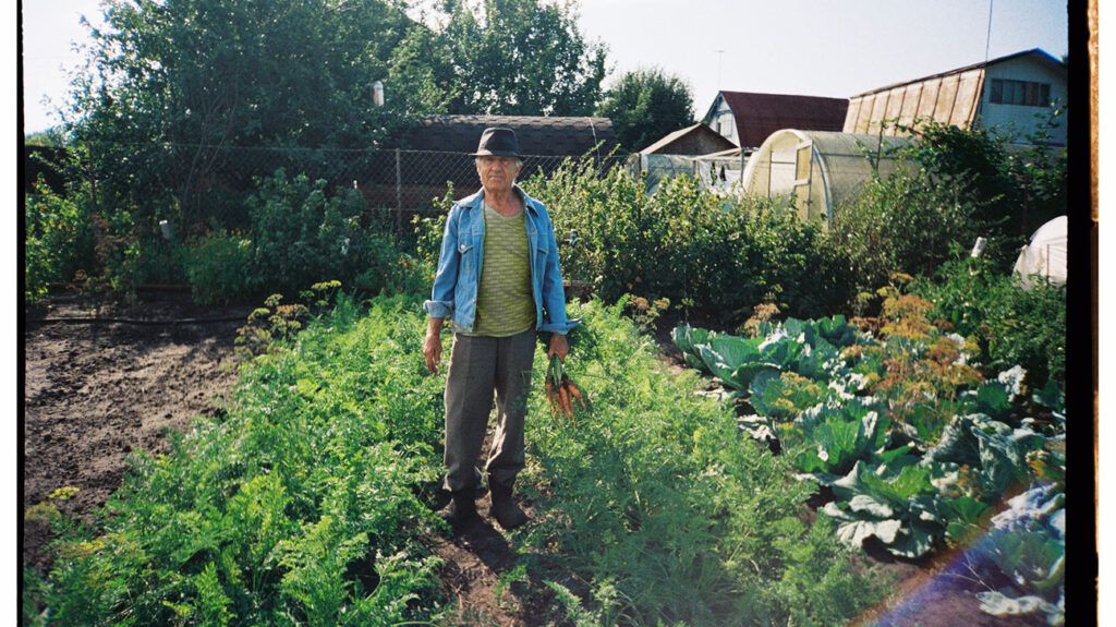 Dietary Patterns that May Reduce Chronic Disease Risk in Older Adults