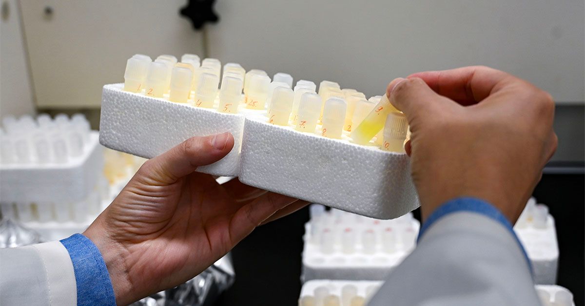 Could lithium hold the key to treating Alzheimer’s disease?