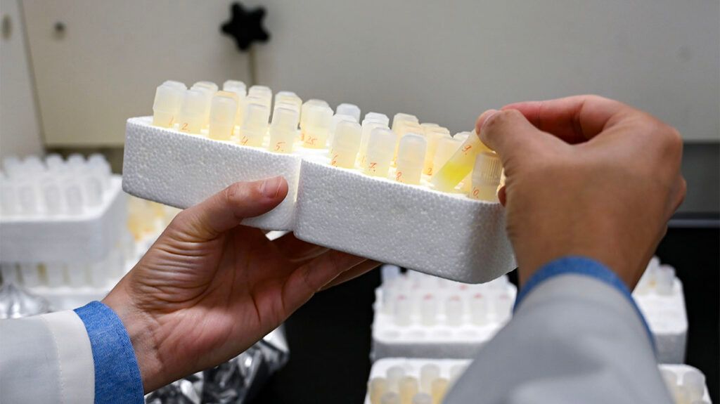 researcher's hands picking small tube samples in lab
