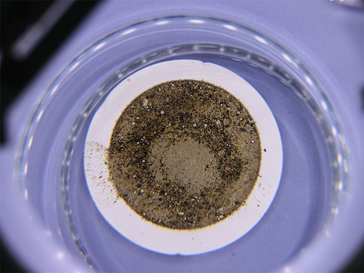 Microplastics in the gut tied to patterns seen in colorectal cancer
