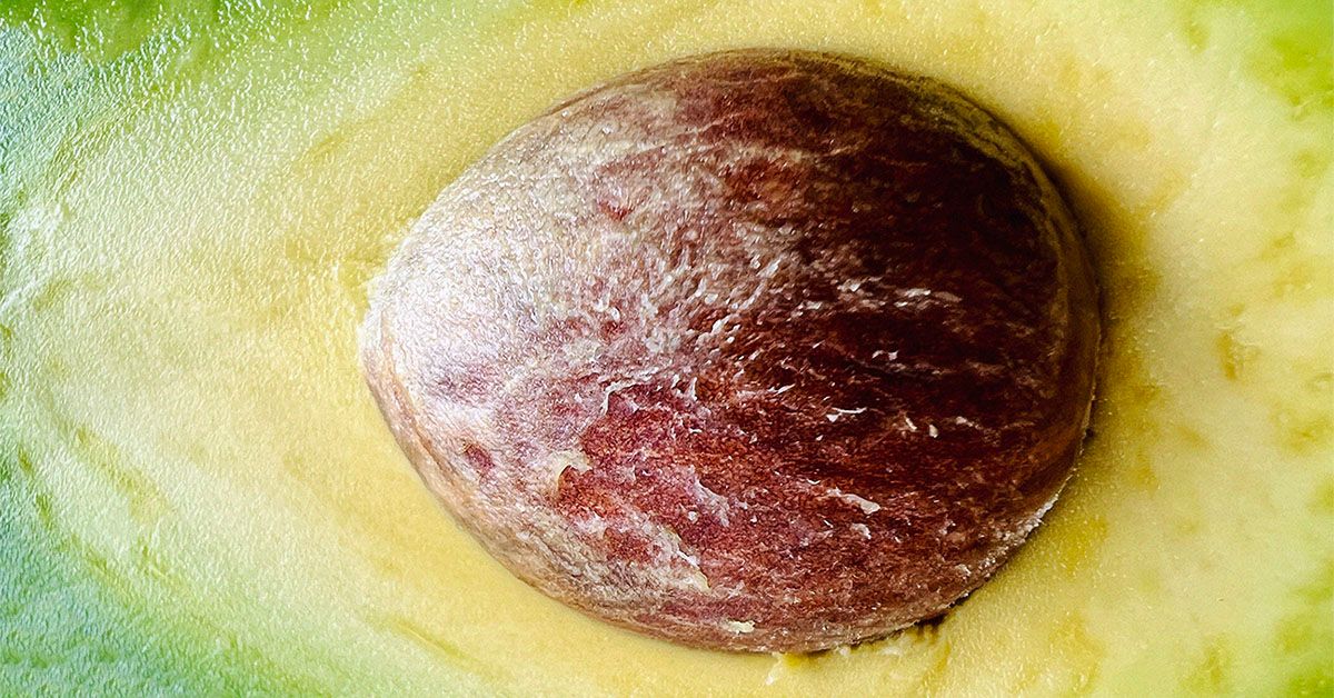 can you use avocado oil as a personal lubricant Helmet Grease Natural Lube 8 Oz main image 1