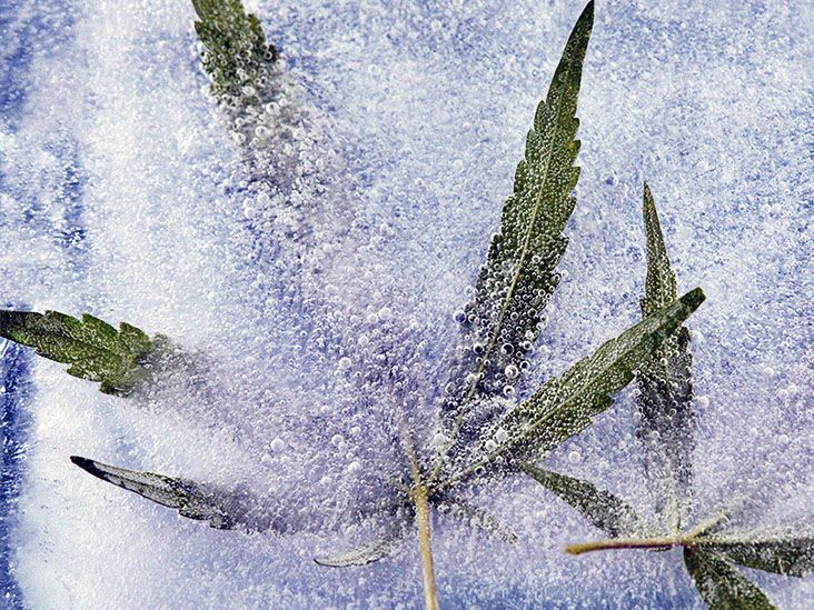 CBD may help treat and reduce inflammation in Alzheimer's disease