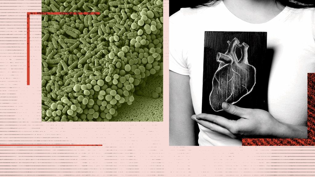 collage of bacteria close-up image and black and white photo of person's hand holding a heart illustration
