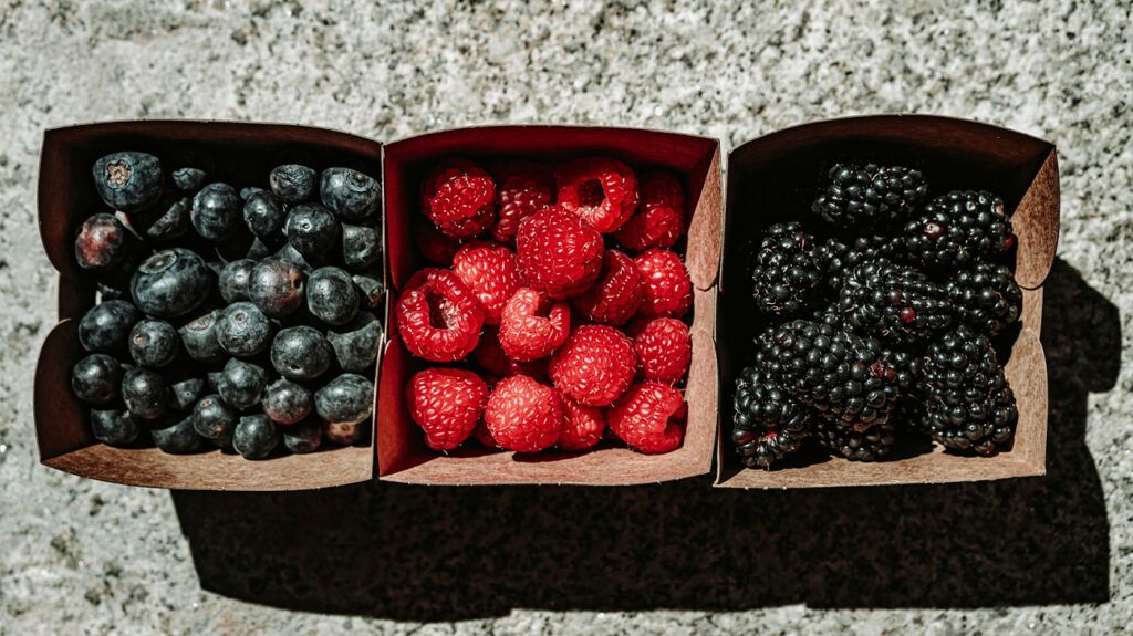 블루베리, 라즈베리, 블랙베리가 상자에 나란히 담겨 있습니다.<BR>