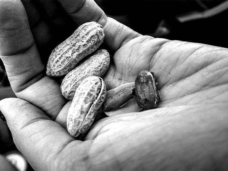 Could peanuts help keep the aging brain healthy?