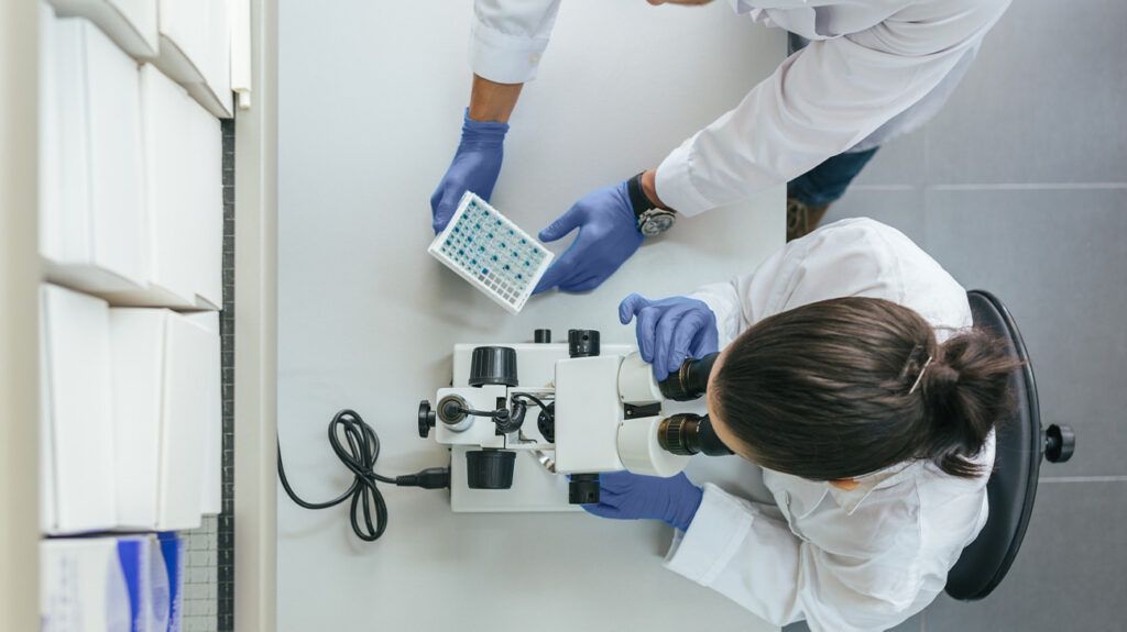 Researchers working in a lab.