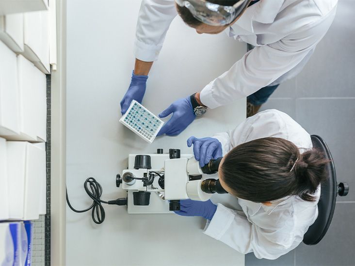 Experimental drug reverses Alzheimer's in mice