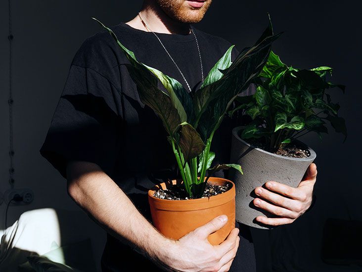 Longevity : Expert tips for staying active as we age