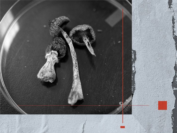 Psilocybin may reshape brain activity and support mental health, study finds