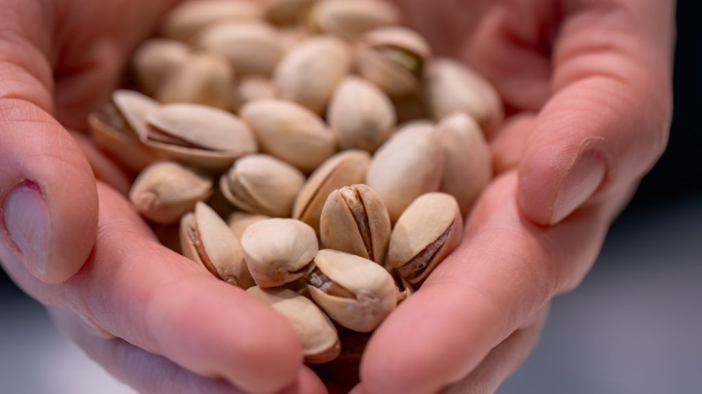 Closeup of pistachios in a person's hands.