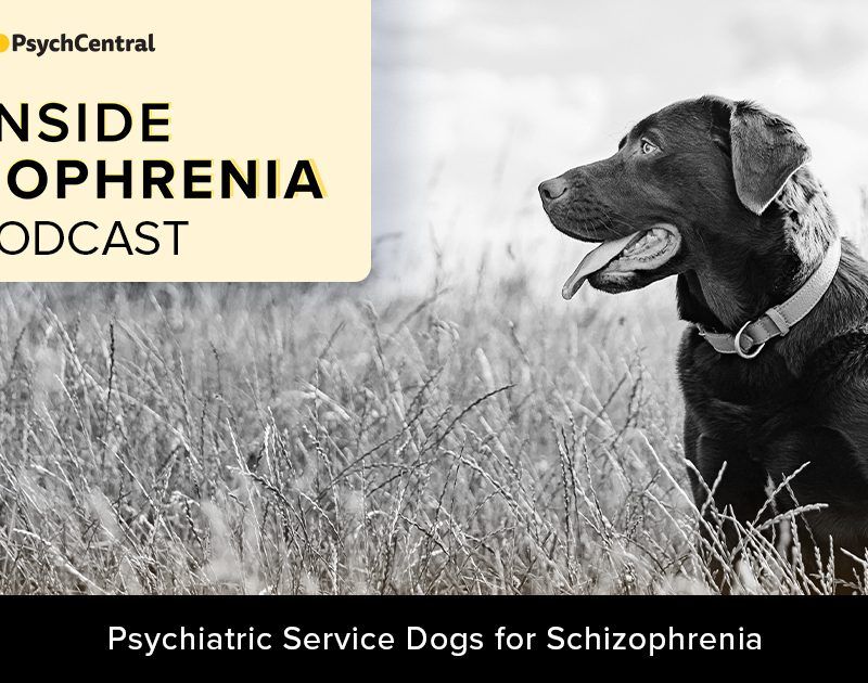 Psychiatric service dog for 2024 agoraphobia