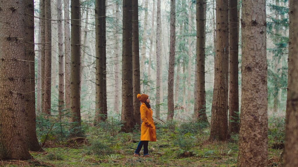 Depleted woman standing and looking up, trying to see the forest through the trees