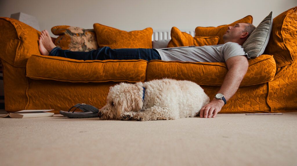person lying on couch with dog