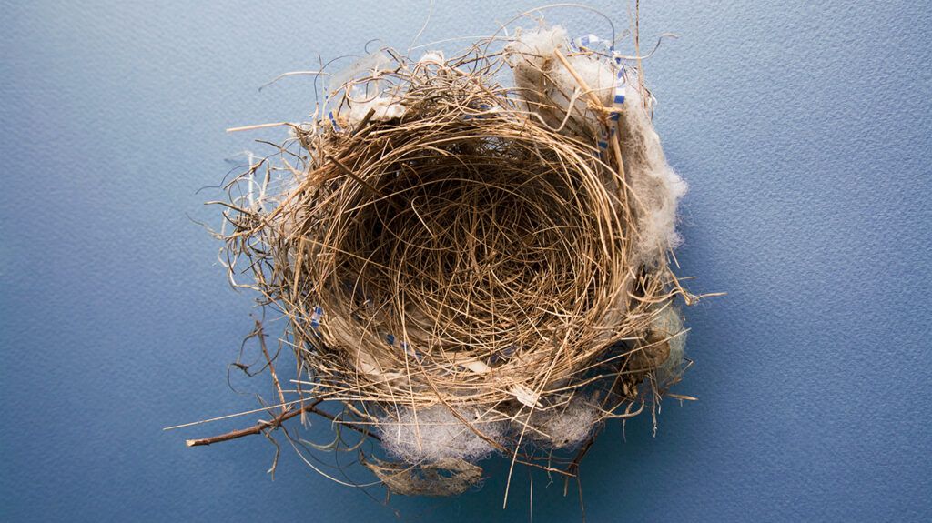 Proverbial empty nest for parents of kids who move out upon adulthood
