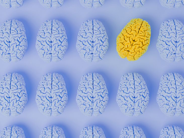 High IQ and ADHD: How Intelligence and Identity Collide