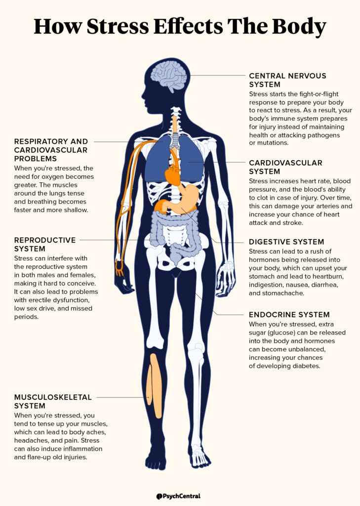 Physical Effects of Stress on the Body: What To Know