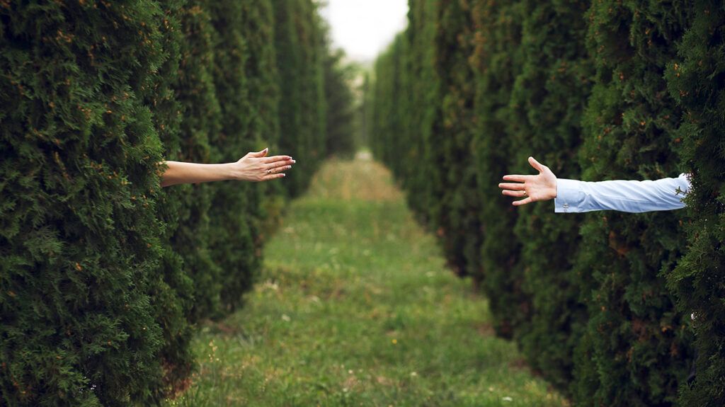 Arms reaching out to each other through hedges