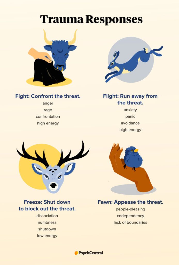 Infographic showing the fight, flight, freeze, and fawn trauma responses