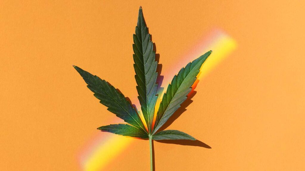 Marijuana leaf with rainbow prism on orange background