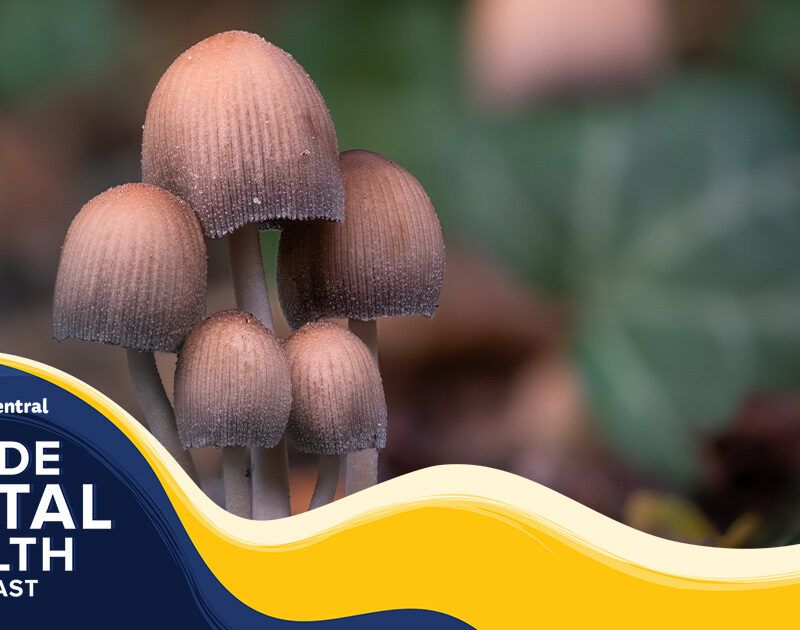 trippy mushroom facebook covers