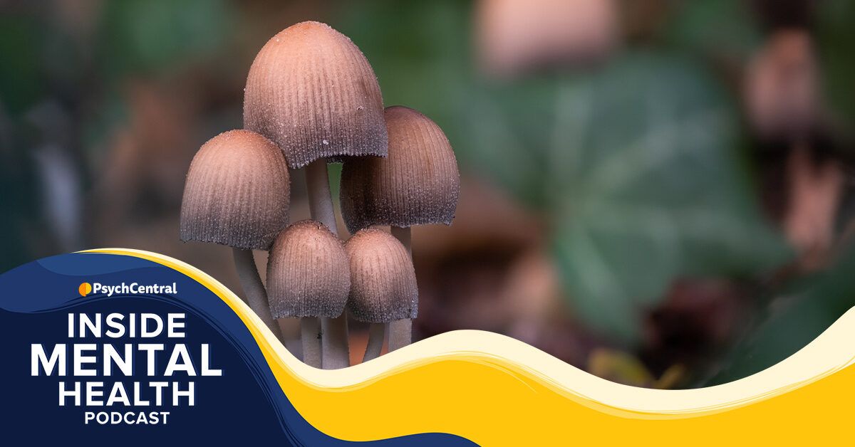 The Lifestyle and Health Benefits of Fungi and Mold - Molekule