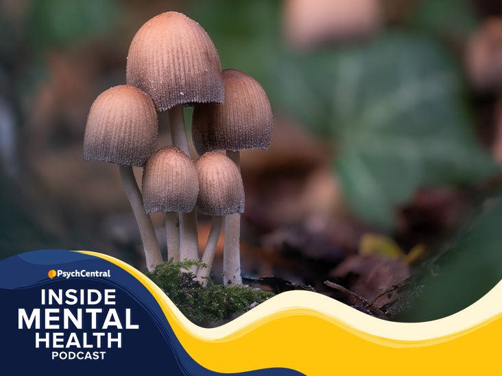 Dig Deeper Into Local Mushrooms!