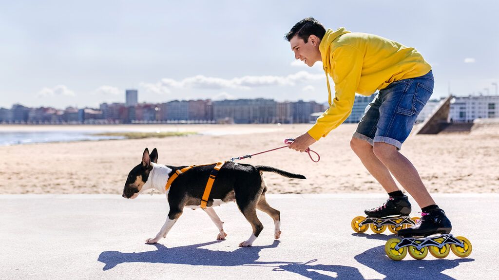 Man rollerblading with his dog, a great pet for mental health