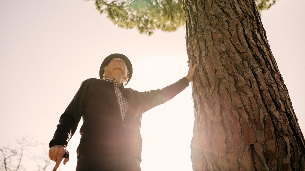 An older man with a hat and cane leaning one hand against a tree trunk. The sun is behind him and the tree