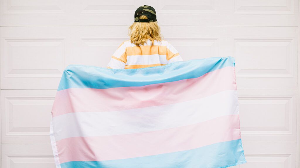 A person facing away from the camera holds a trans pride flag