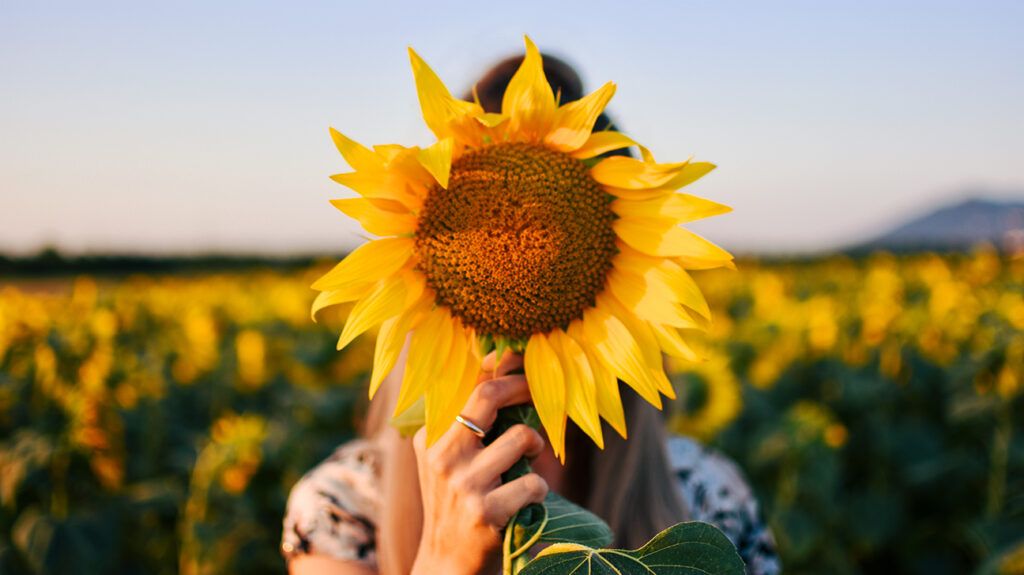Woman holding sunflower in front of face