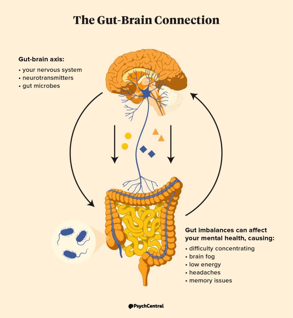 Infographic showing the gut-brain connection