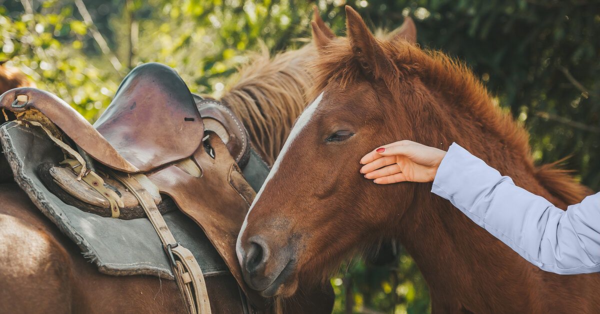 Benefits of Equine Therapy for Anxiety and Mental Health