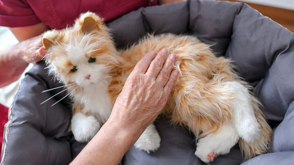 Older person petting their robotic pet cat