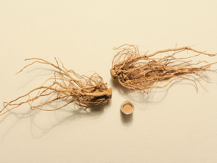 Drug Test Anxiety The Truth About Ashwagandha - tyg59uk