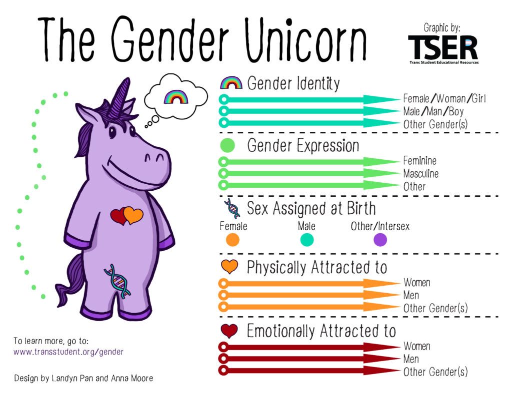 The Gender Unicorn infographic from Trans Student Educational Resources (TSER), 2015. http://www.transstudent.org/gender