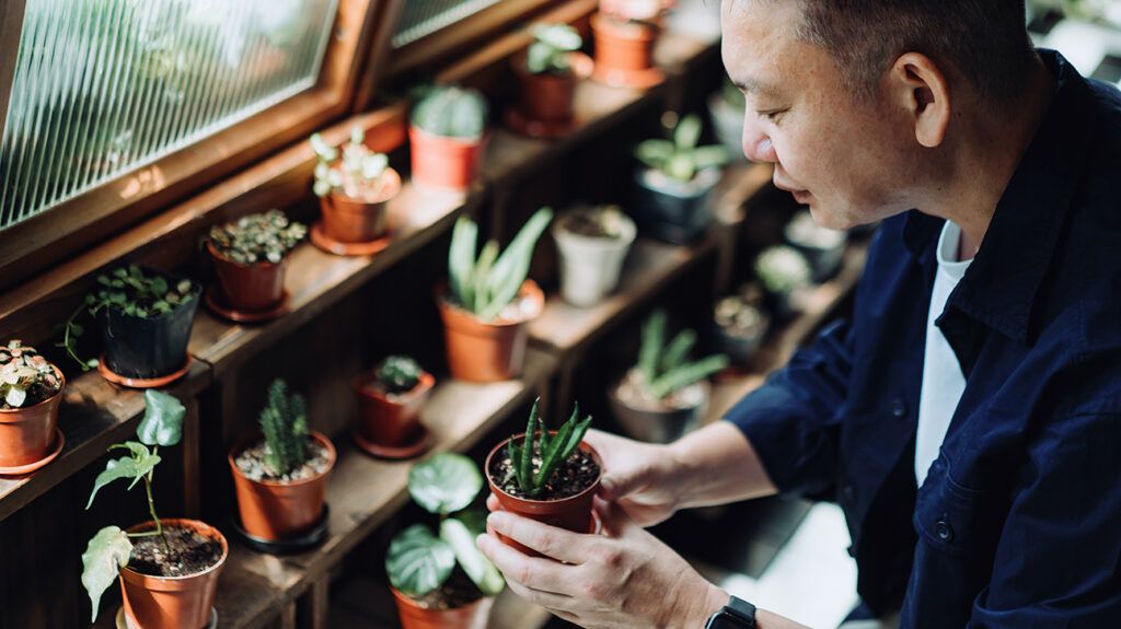 a man taking care of potted plants