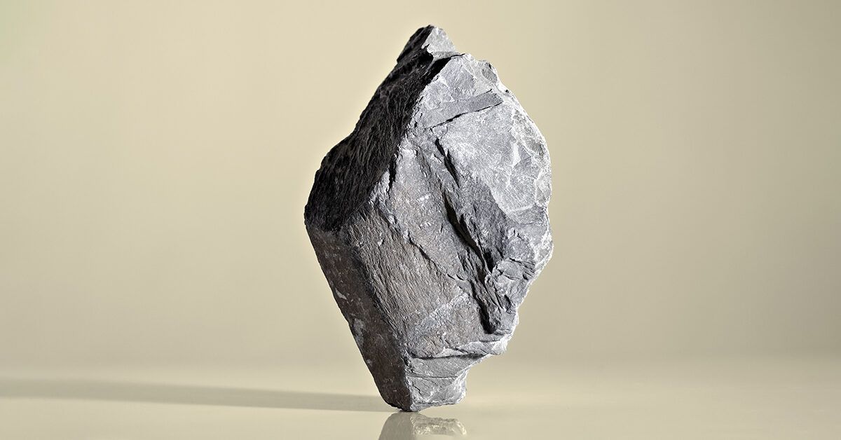 The Grey Rock Method: A Technique for Handling Toxic Behavior