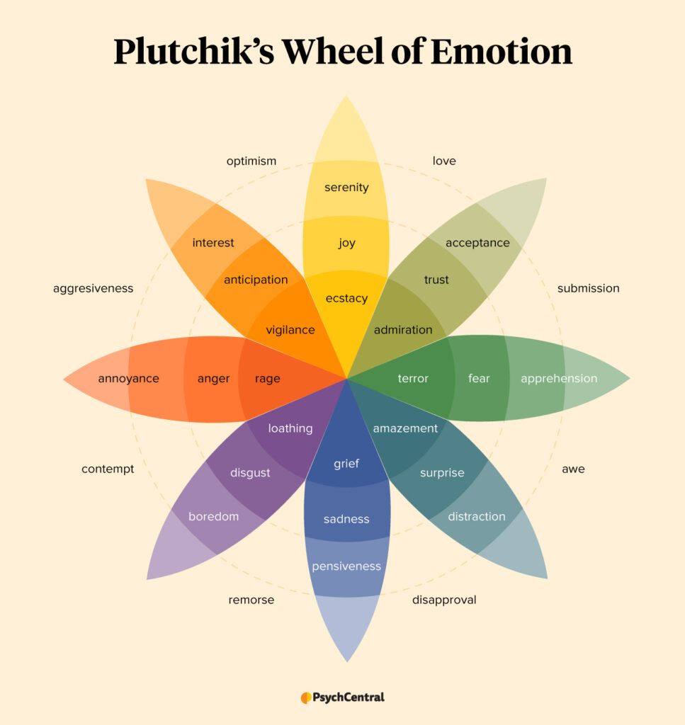 infographic of Plutchiks wheel of emotion