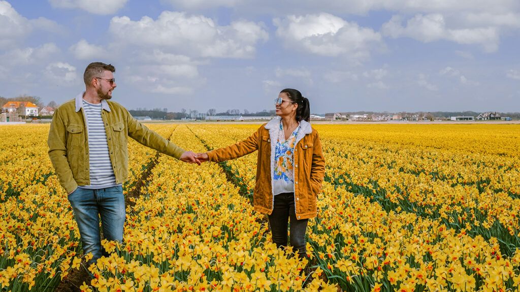 couple walking through a daffodil field