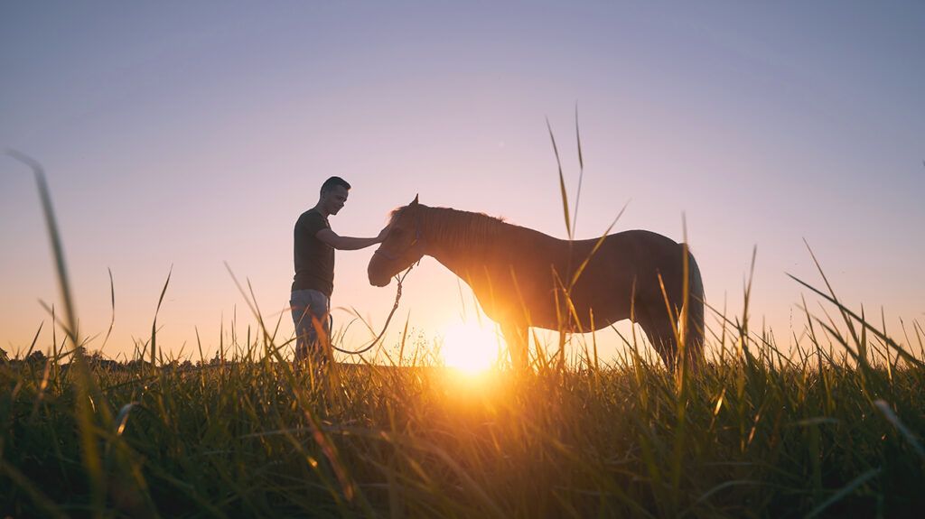 a man petting a horse in equine-assisted experiential therapy