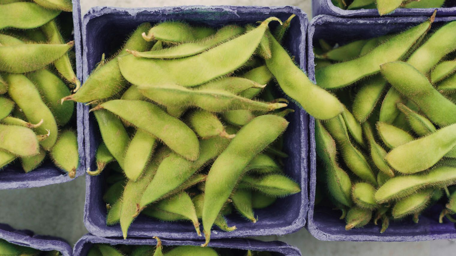 Are Soybeans Good for Crohn's Disease?