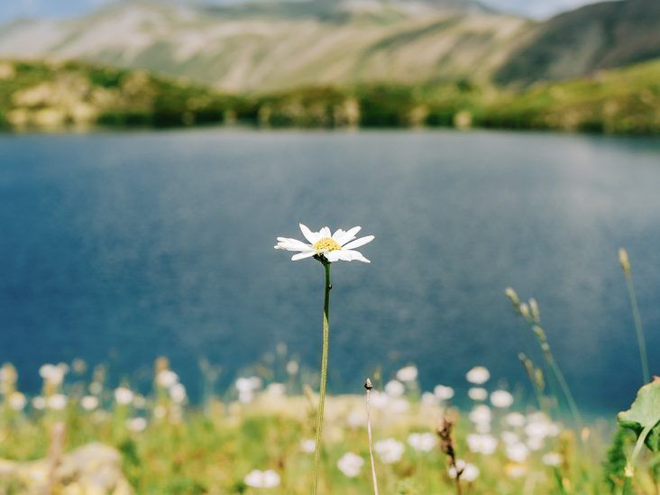 The Ecotherapy Habits That Help Me Manage Depression